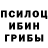 Галлюциногенные грибы Psilocybine cubensis Serdyk Dima