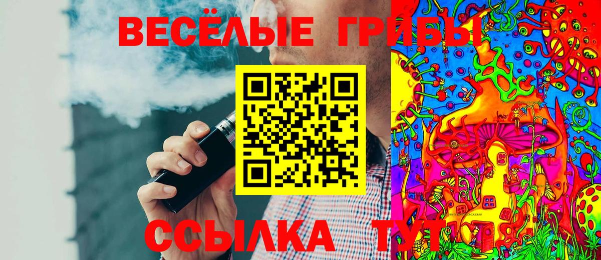 Псилоцибиновые грибы мухоморы  Вход с VPN  Лесозаводск 